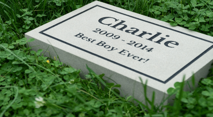 All About Getting A Dog Headstone