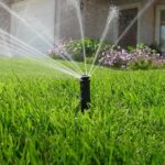 The Benefits of Early Morning Watering for Your Lawn