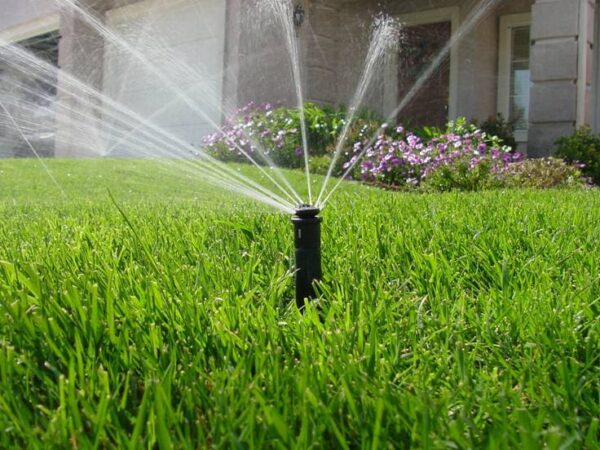 The Benefits of Early Morning Watering for Your Lawn