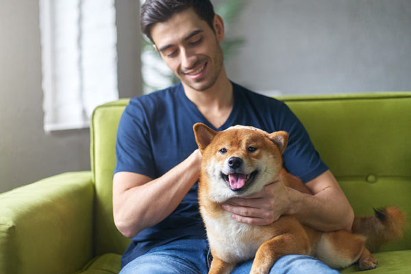 How to Create a Happy Relationship with Your Dog